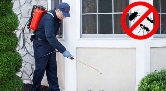 Yozgat Böcek İlaçlama böcek ilaçlama ve haşere kontrolü — ilaclama-tr.com